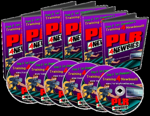 Product picture PLR For Newbies Video - Redesign And Make Profits